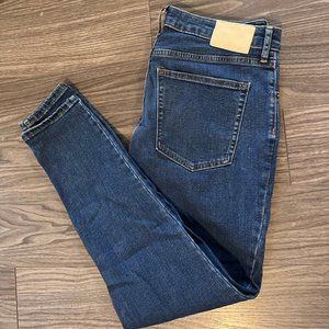 Everlane Curvy Skinny 31R